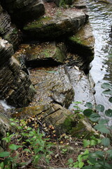 waterfall in the forest