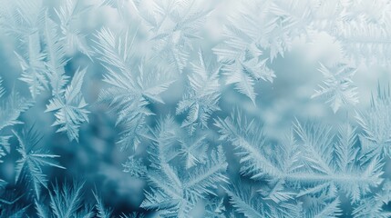 Detailed view of frost crystals on a window. Suitable for winter themes