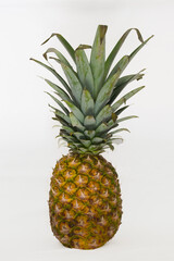 tropical pineapple, isolated, on white background