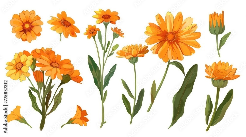 Aufkleber vibrant orange flowers against a clean white backdrop. perfect for adding a pop of color to any desi