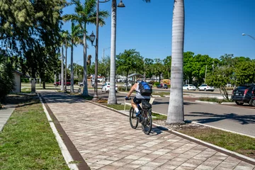 Fototapete Rund Mediterranes Europa palmetto, florida  © mark
