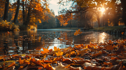 Autumn Park, Tranquil park with leaves in fall colors, space for text - obrazy, fototapety, plakaty