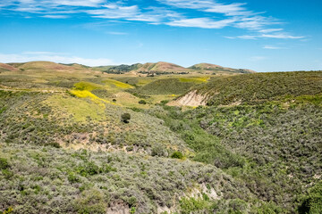 scenic landscape at the coastal cabrillo highway in California, USA