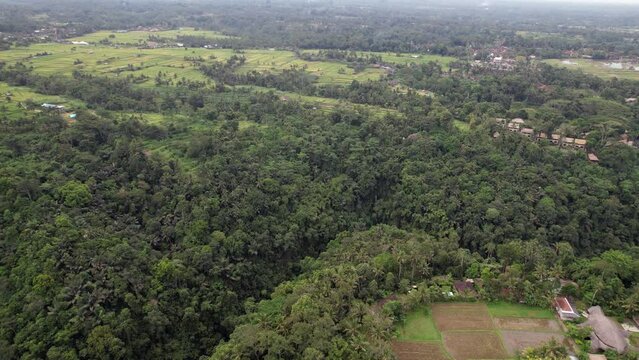 Large green gorge overgrown with tropical jungles, rice fields seen at flat land, some buildings and villages at distance. Panoramic aerial shot of Bali landscape near Ubud town, shot in cloudy day
