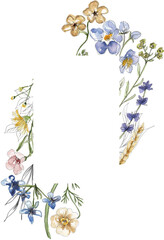 Watercolor wildflowers wreath illustration, meadow flowers frame clipart - 775898163