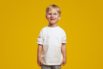 Cheerful little smart schoolboy wearing white t-shirt and stylish eyeglasses, smiling and looking...