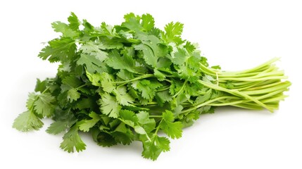 A bunch of cilantro on a clean white surface, perfect for food and cooking related projects