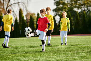 A group of young boys, full of energy and enthusiasm, engage in a lively game of soccer on a grassy field. 