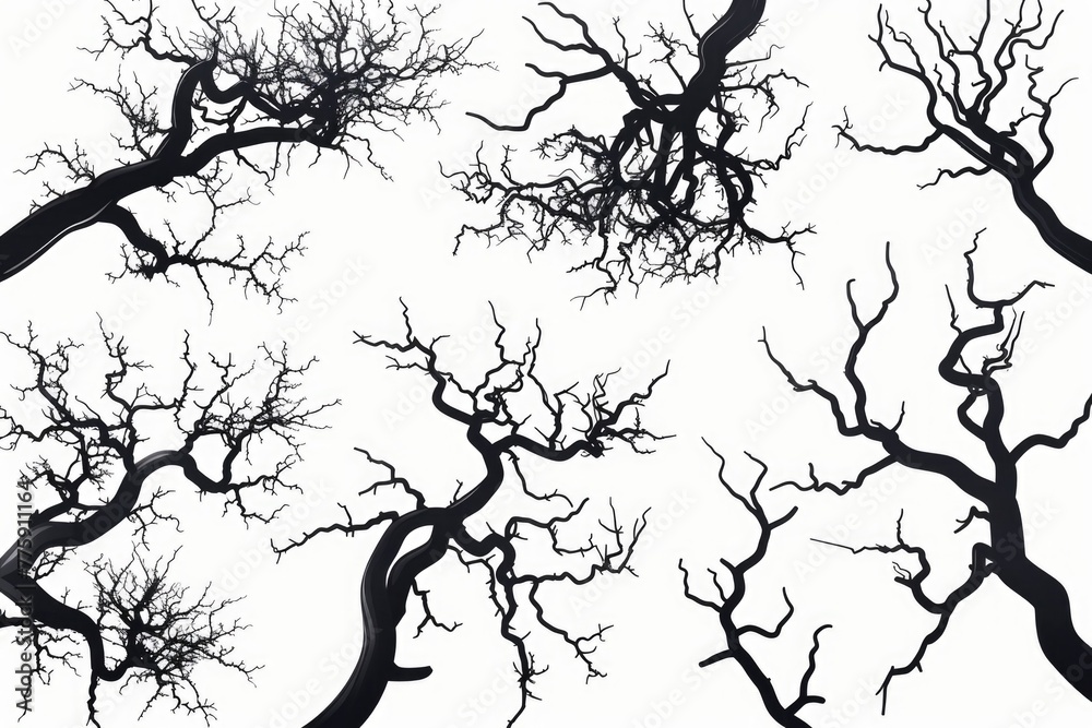 Poster a stark black and white photo of leafless trees. suitable for nature or minimalist design concepts