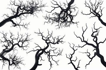 A stark black and white photo of leafless trees. Suitable for nature or minimalist design concepts - obrazy, fototapety, plakaty