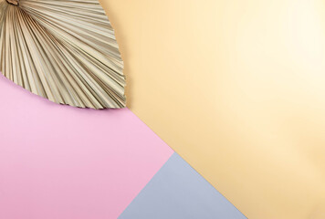 Top view of dried palm leaf on colourful background. Blue, pink and yellow background. Colourful wallpaper, flat lay, copy space.