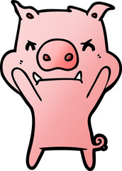 angry cartoon pig