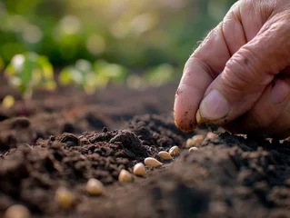 Fotobehang A hand planting a seed in fertile soil, a new beginning  hopeful, closeup, professional color grading, clean sharp,clean sharp focus, digital photography © Pakorn