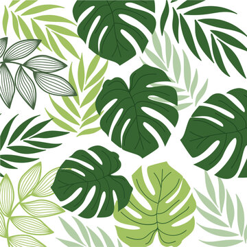 Tropical leaf or Flowers Pattern Background, Luxury nature leaves pattern design, design for fabric , print, cover, banner and invitation, Vector illustration.