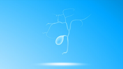 Human Organ gall bladder 3d illustration