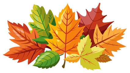 autumn leaves collection vector illustration