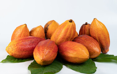 Natural ripe of orange color cacao pods