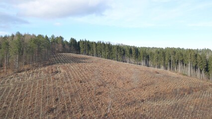 Aerial natural landscape woodland marked with pits dug for tree plantation for restoring damaged...