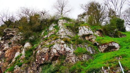 Rock folding in Fresnay-sur-Sarthe region of the Alpes Mancelles. France Europe