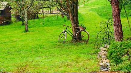 Bucolic landscape of a bicycle with a wicker basket in a meadow - obrazy, fototapety, plakaty