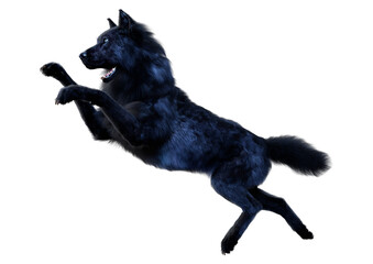 3D Rendering Black Wolf on White