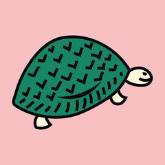 turtle