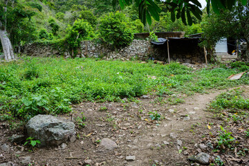 Obraz premium naturaleza zona andina Colombiana