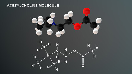Acetylcholine Molecule structure 3d illustration