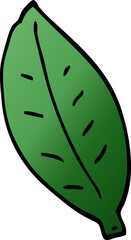 cartoon doodle leaf