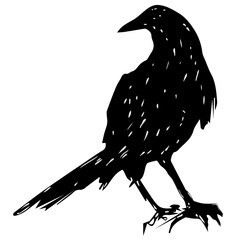 Crow minimal black and white vector illustration icon, Crow vector illustration design