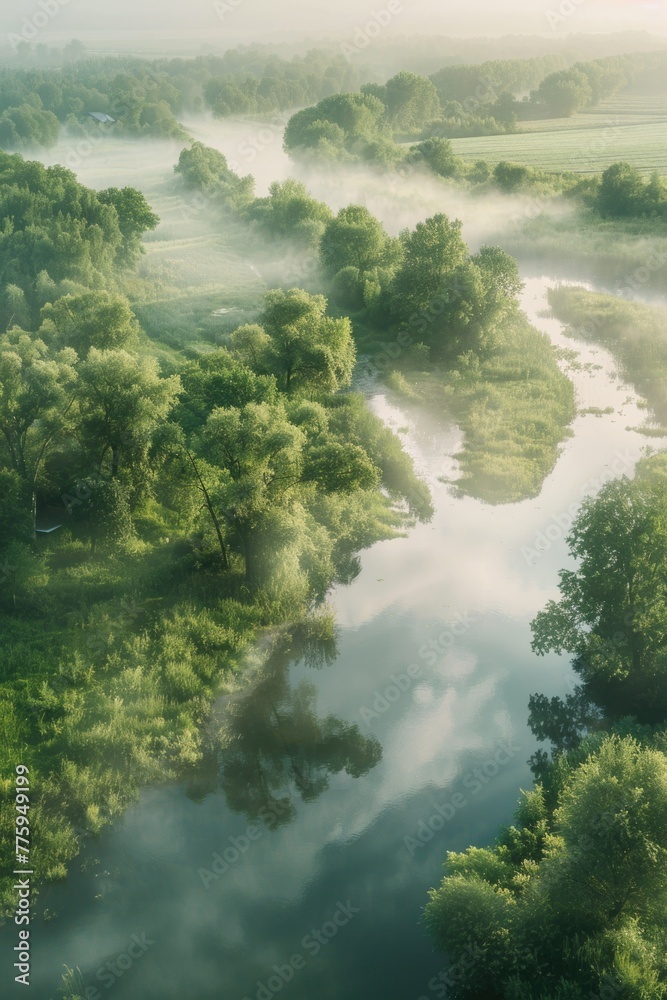 Poster aerial view of a river surrounded by trees, suitable for nature and travel concepts