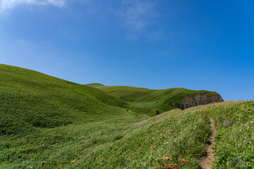 Naklejka premium ゴロタ岬へ