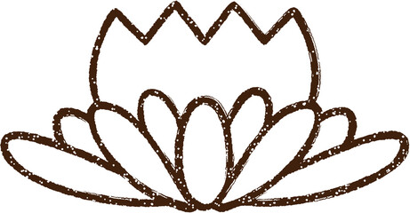 Waterlily Charcoal Drawing