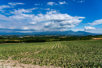 かみふらの八景