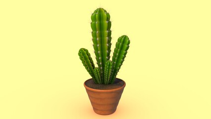 Cactus Plant (Desert plant) isolated in background 3d illustration