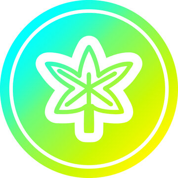 marijuana leaf circular icon with cool gradient finish