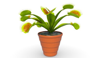 Venus fly trap 3d illustration