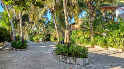 Playacar street view in the daytime