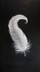 White feather showcasing intricate details and soft texture against a dark background