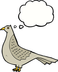 cartoon bird with thought bubble