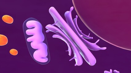 Chief cell close up (zymogenic cell or peptic cell) 3d illustration