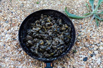 Hiker's food at sea shore. Grape snails fried in a frying pan with vegetables