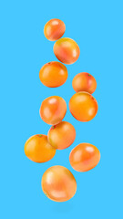 Fresh ripe grapefruits falling on light blue background