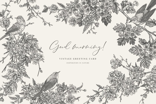 Vector frame with birds and blooming garden trees. Detailed background. Full bloom. Spring flowers. Kerry, hawthorn, cherry. Black and white