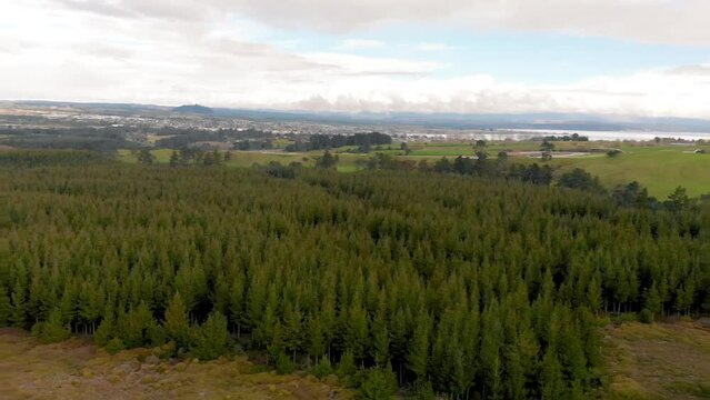Aerial view of Rotorua Craters of the Moon Geysers, New Zealand