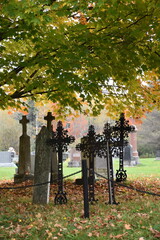 Crosses in the cemetery in autumn, Québec, Canada