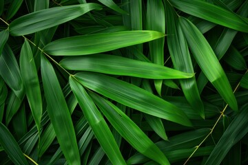 Tranquil Bamboo leaves background. Nature asia. Generate AI