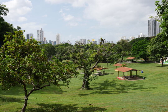 Erholungspark Kulturpark Omar in der Stadt Panama City