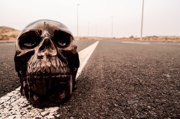Closeup of a skull on an asphalt road - road death concept