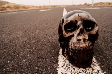 Closeup of a skull on an asphalt road - road death concept
